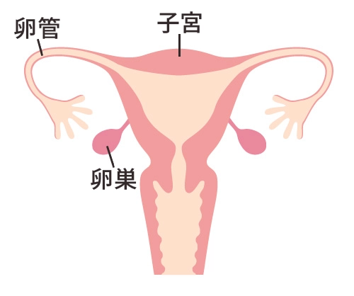 子宮筋腫